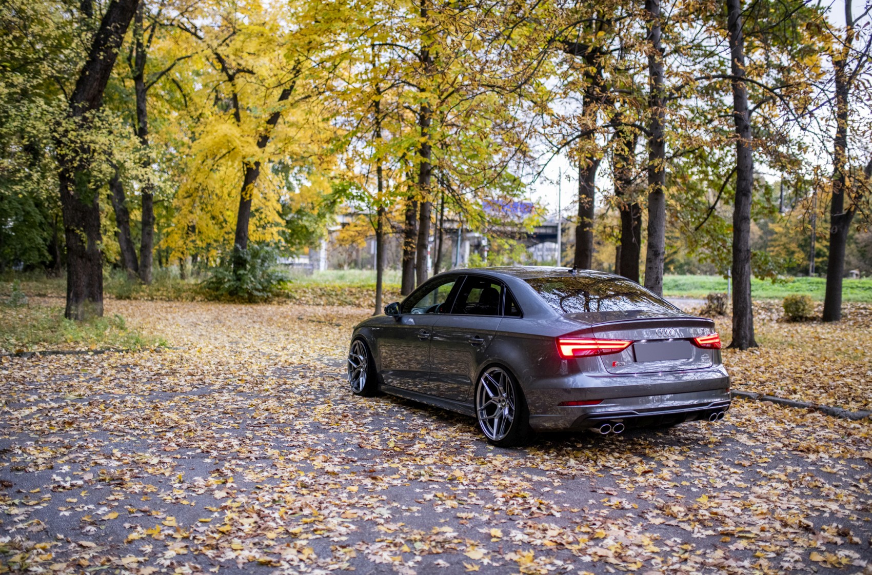 Audi A3 / S3 / RS3