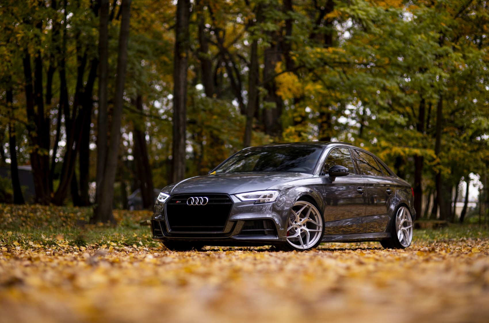 Audi A3 / S3 / RS3
