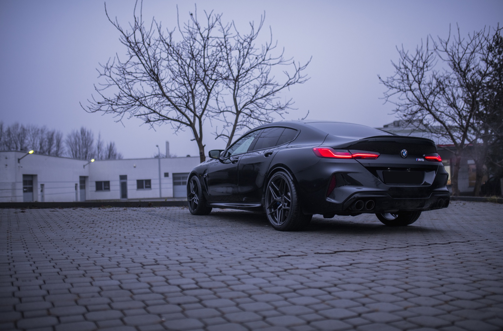 BMW 8 Series / M8