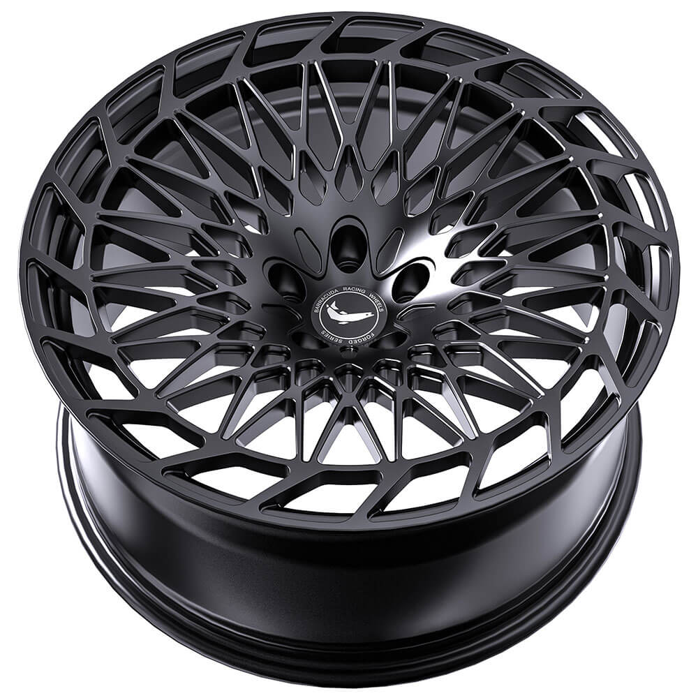 Barracuda Forged AF33 24x14 ET, LK und Farbe frei wählbar 3