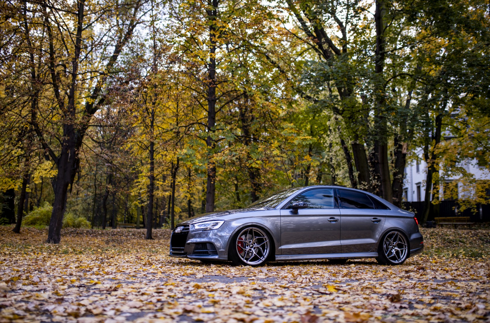 Audi A3 / S3 / RS3