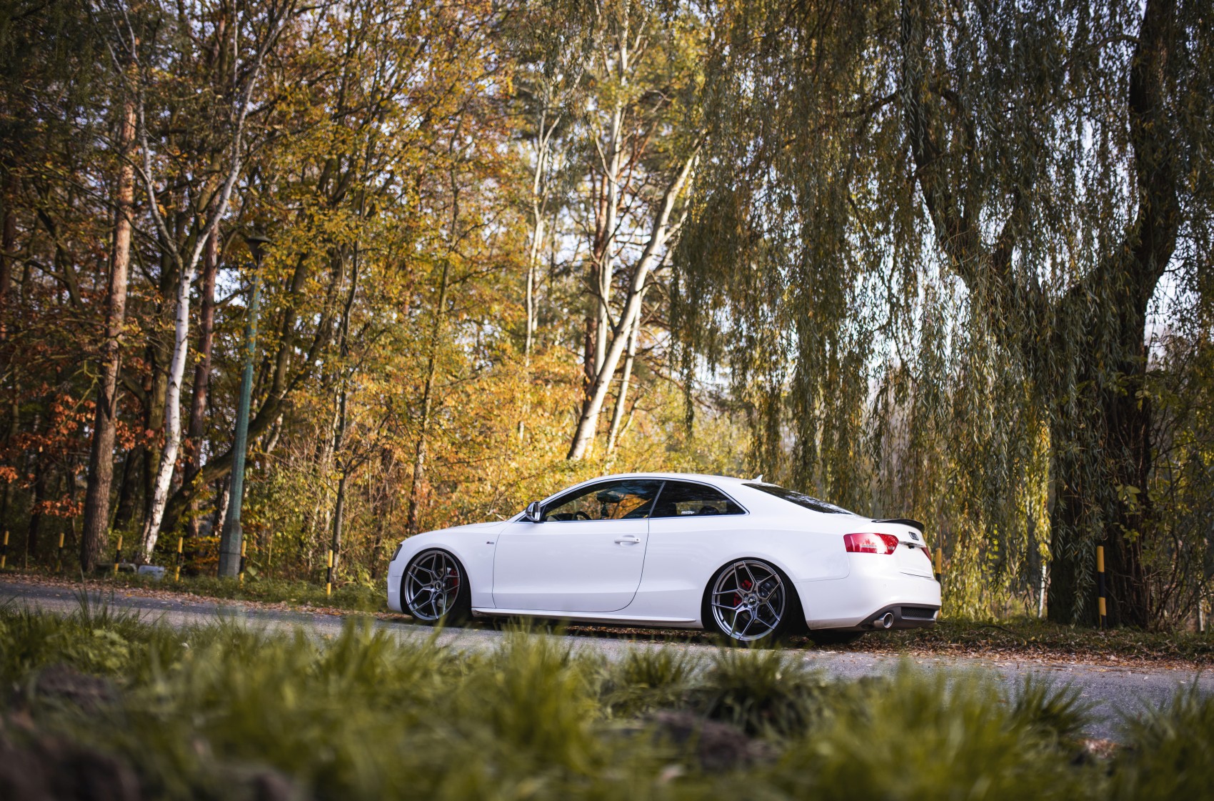 Audi A5 / S5 / RS5