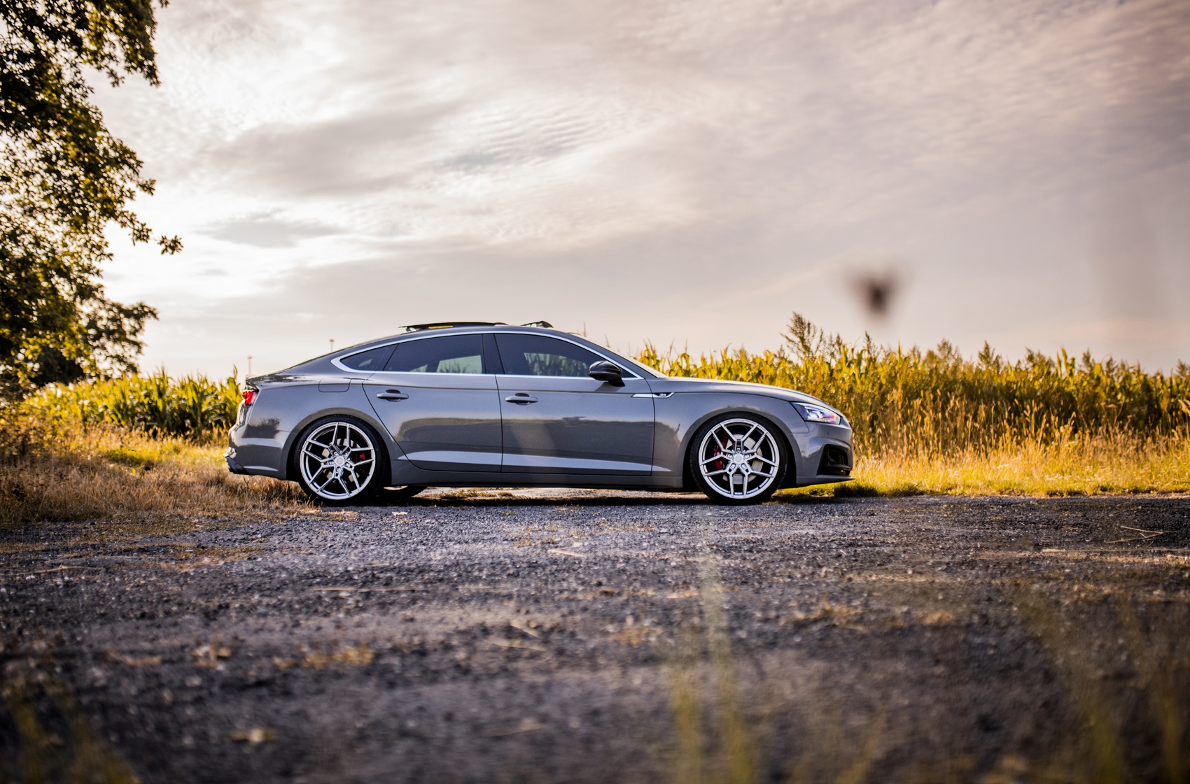 Audi A5 / S5 / RS5