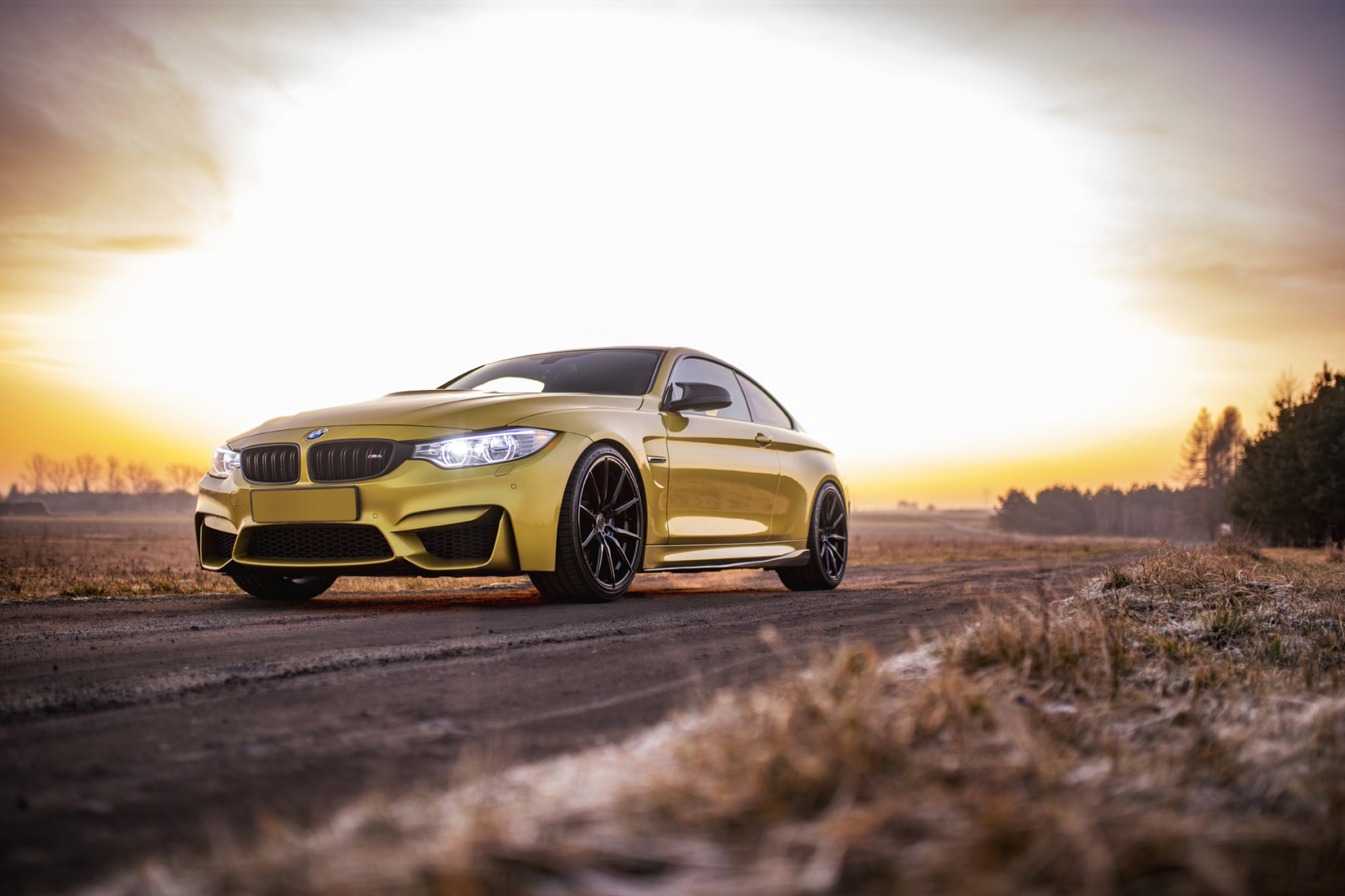 BMW 4 Series / M4
