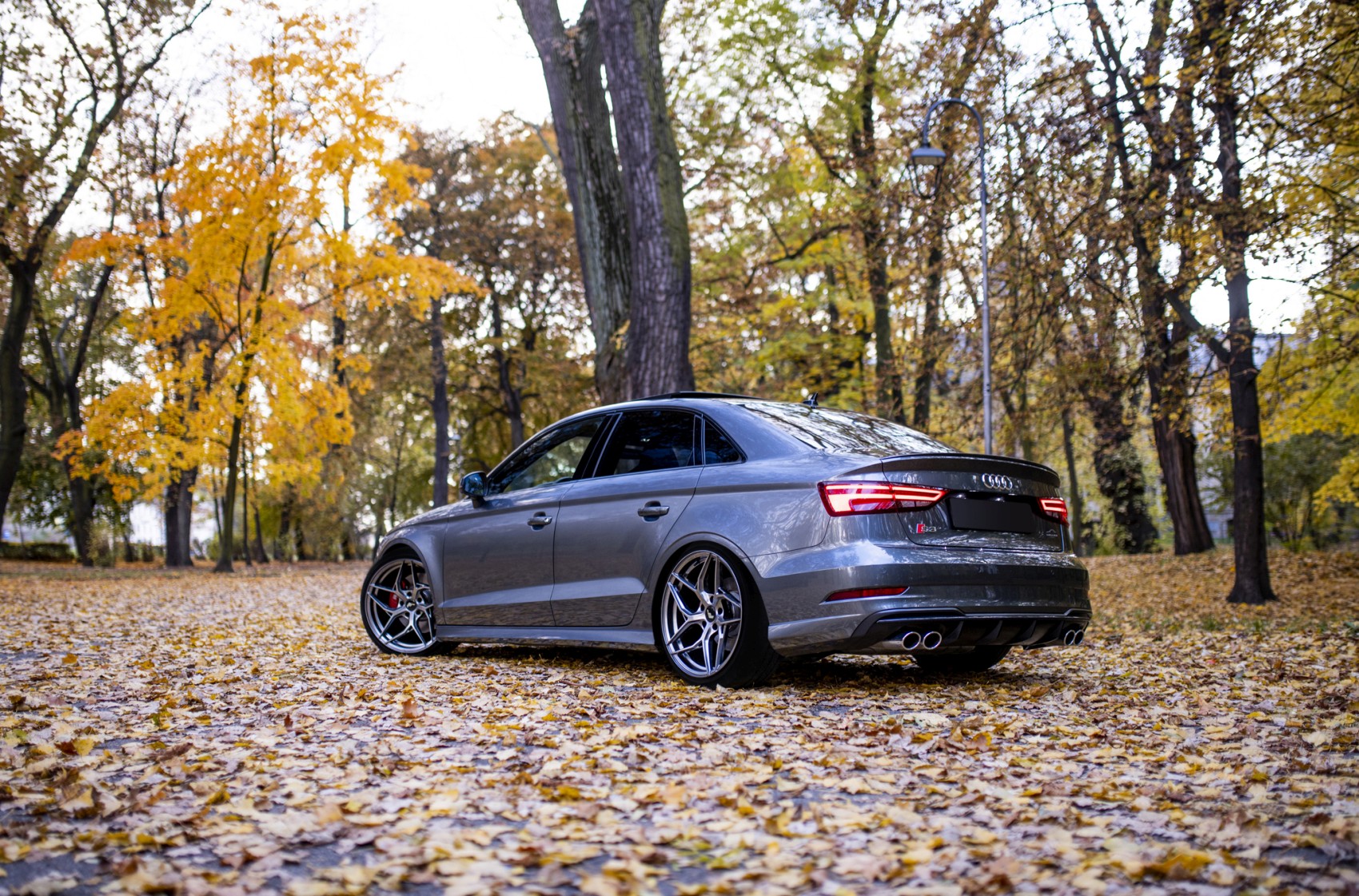 Audi A3 / S3 / RS3