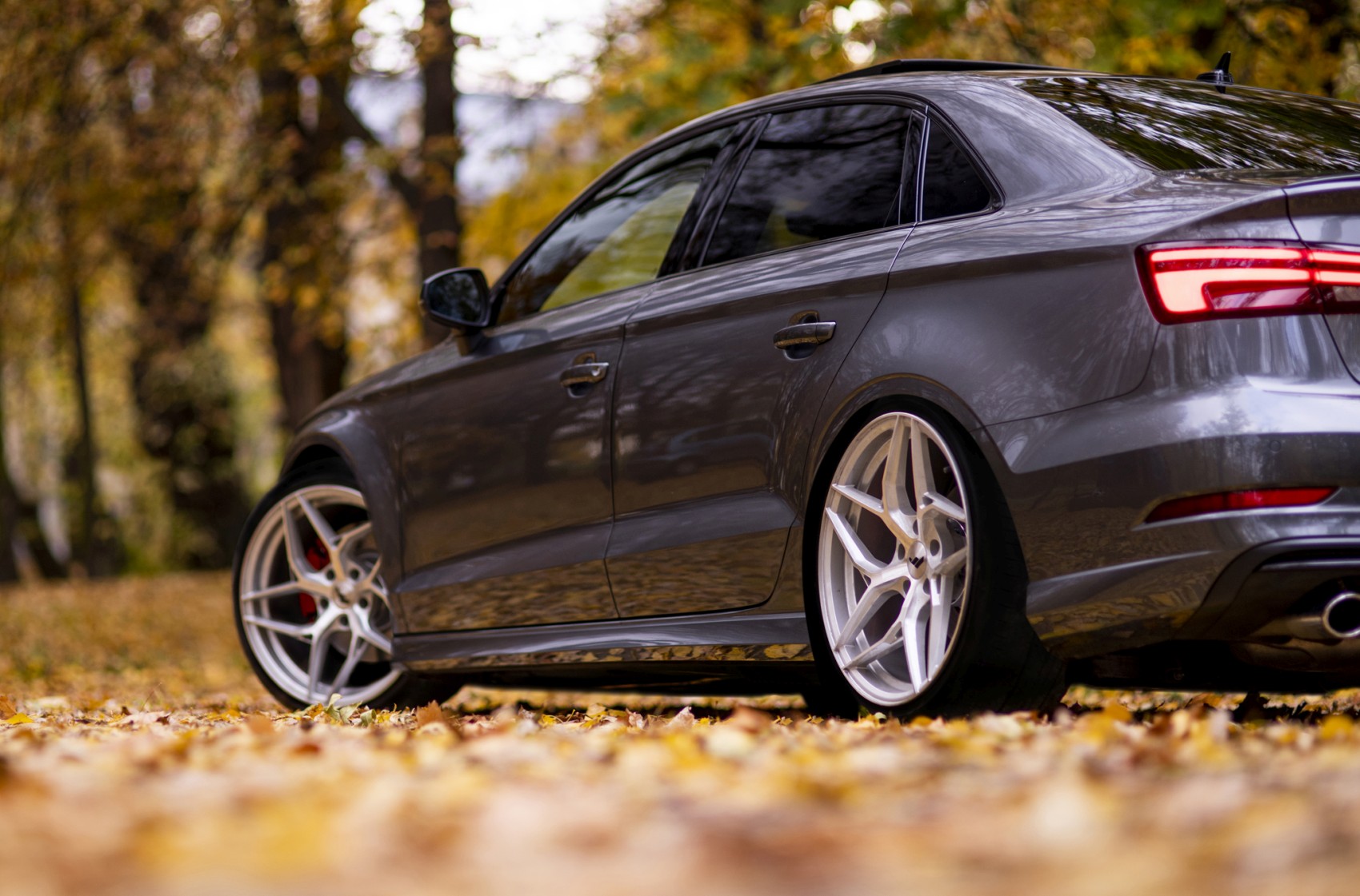 Audi A3 / S3 / RS3