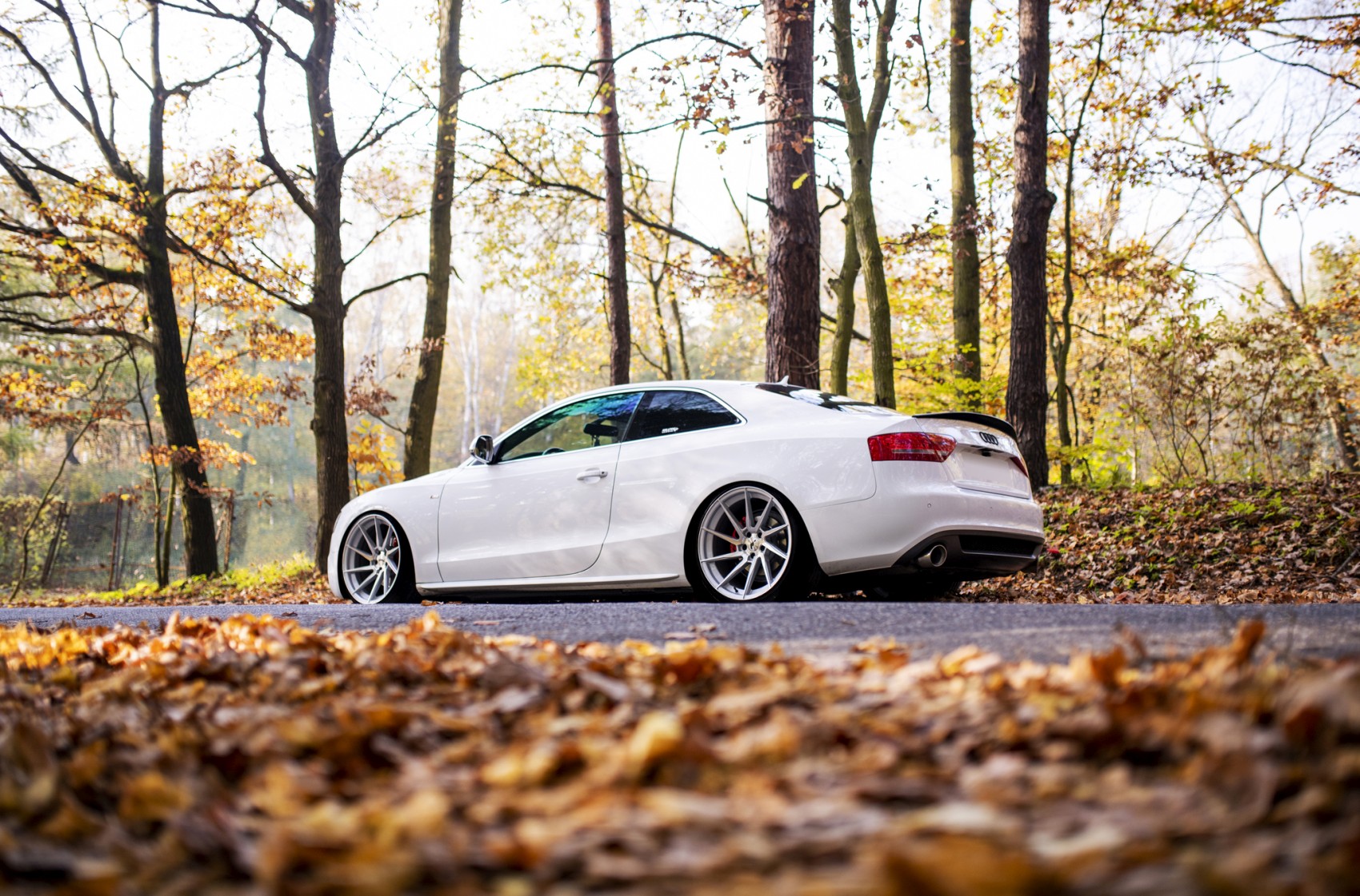 Audi A5 / S5 / RS5