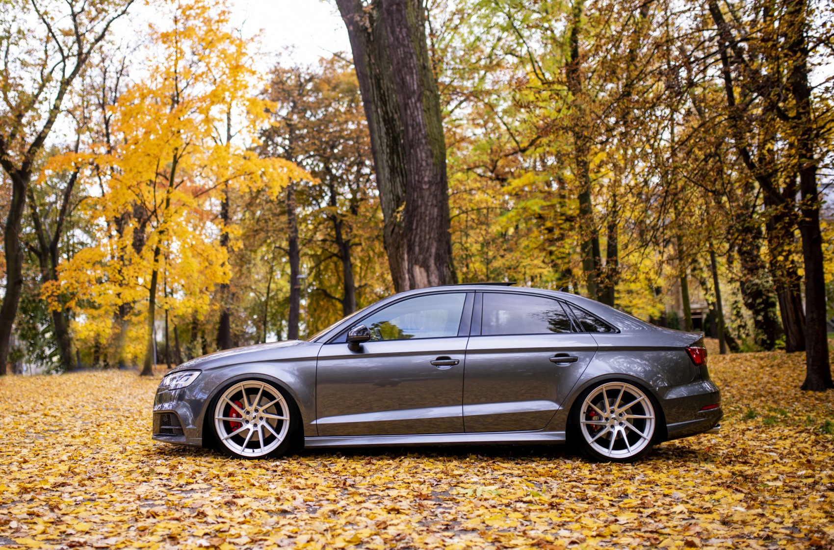 Audi A3 / S3 / RS3