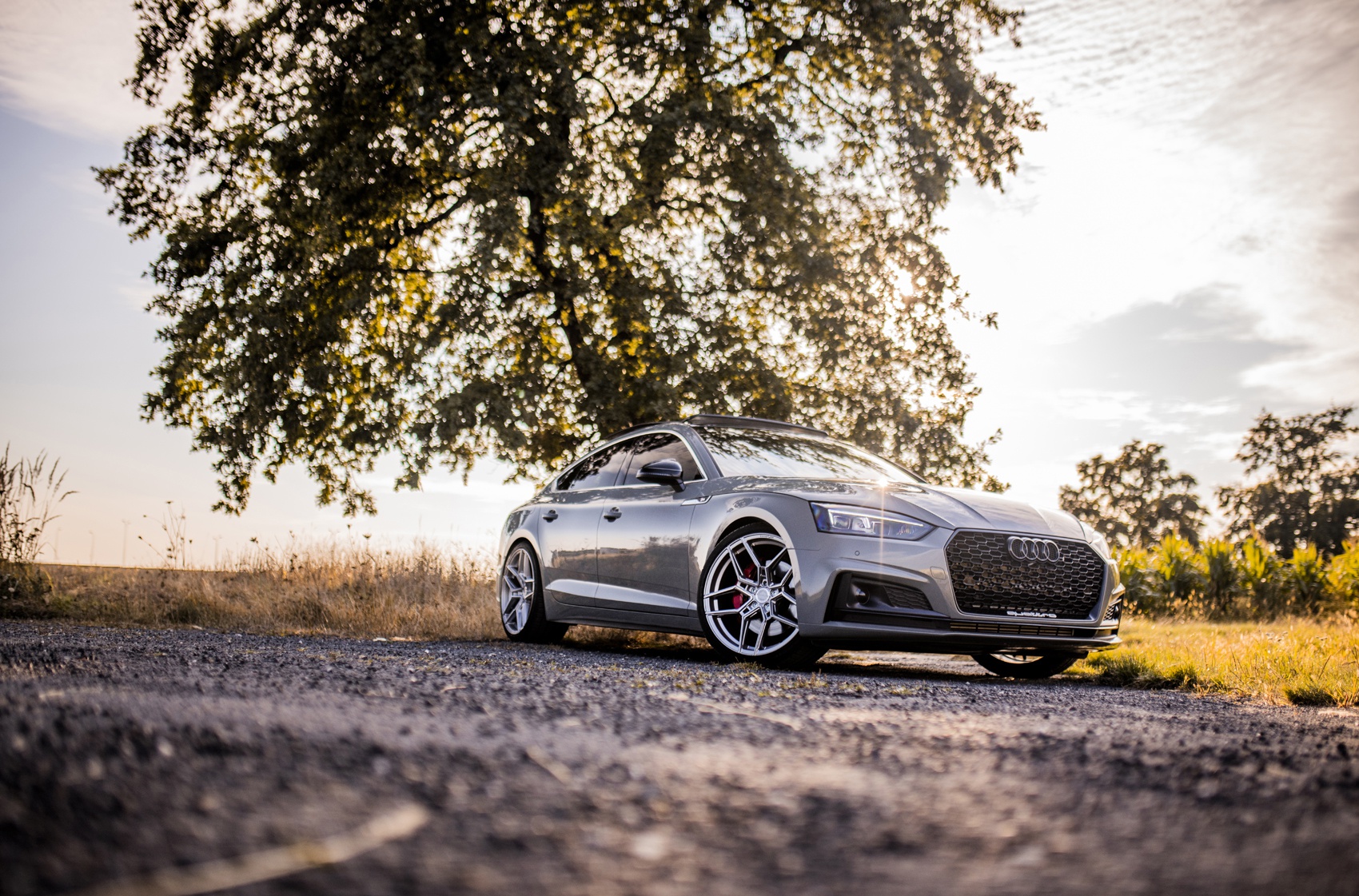 Audi A5 / S5 / RS5