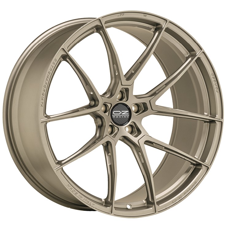 OZ ESTREMA FORGIATA 20x9.5 ET10 5x112 White Gold