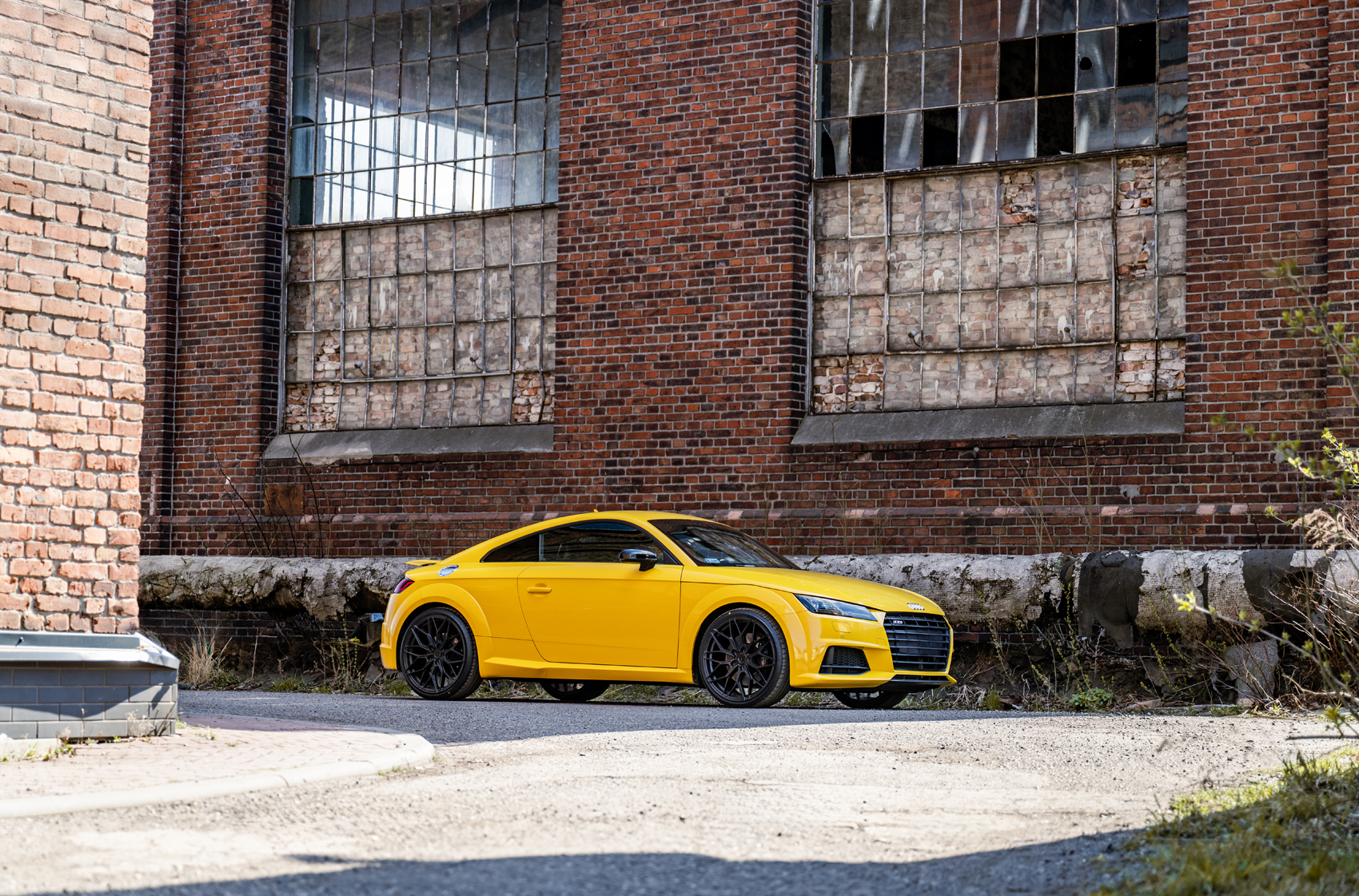 Audi TTs