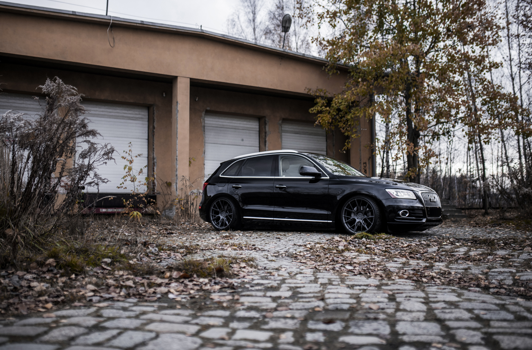 Audi Q5 / SQ5