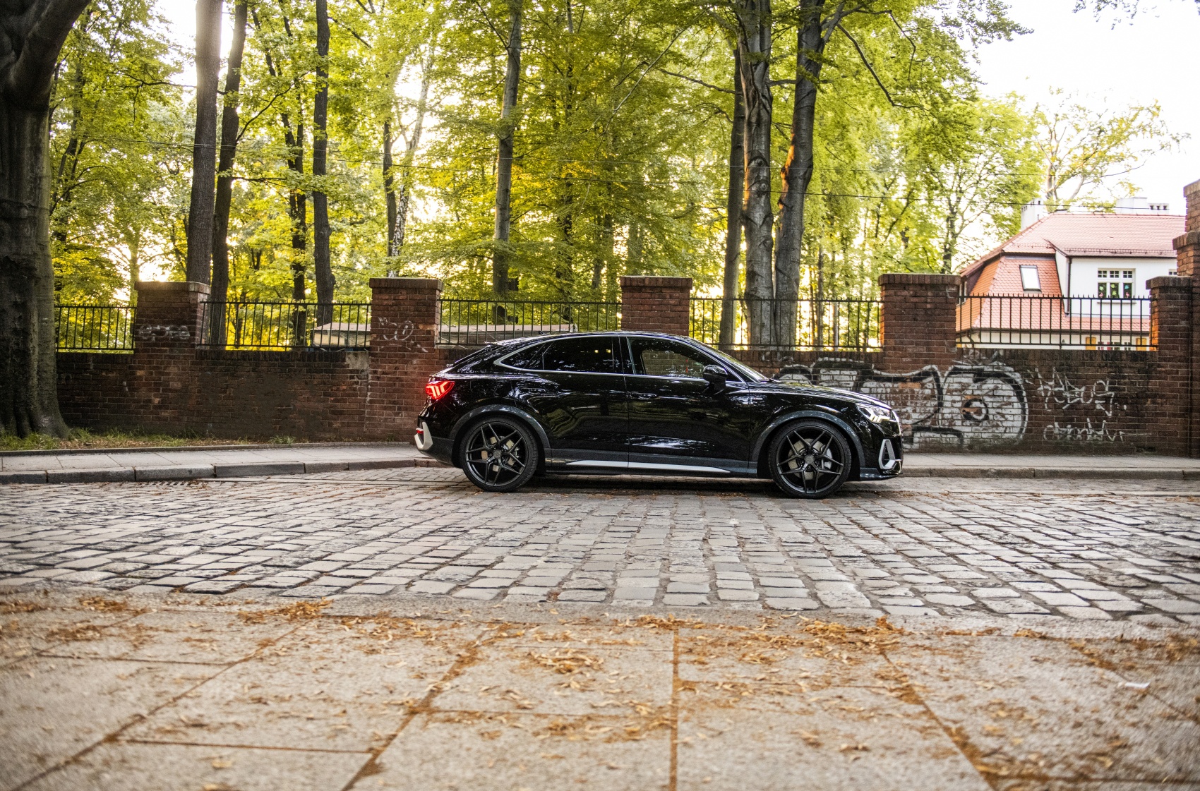 Audi Q3 / SQ3 / RSQ3