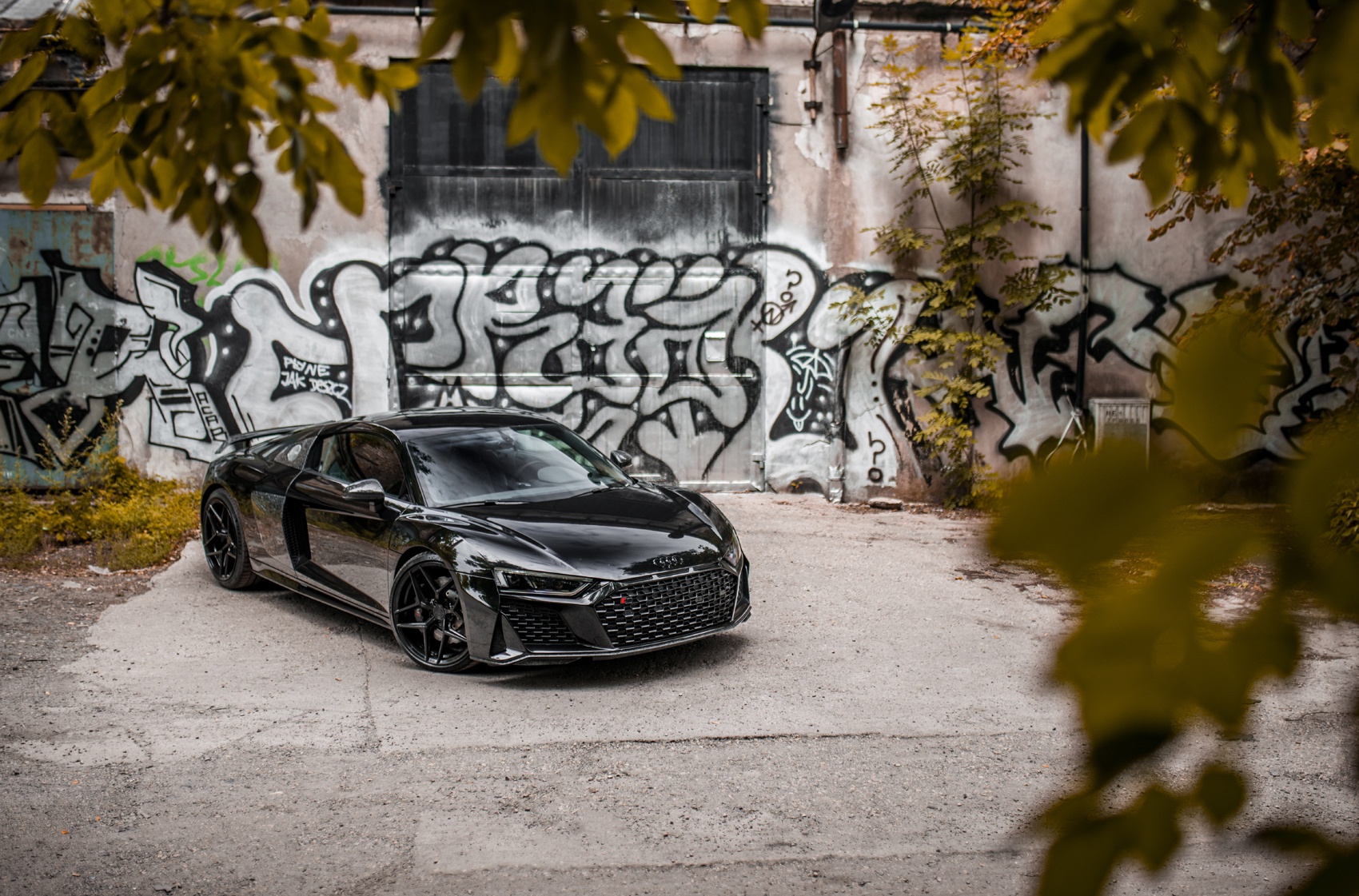 Audi R8
