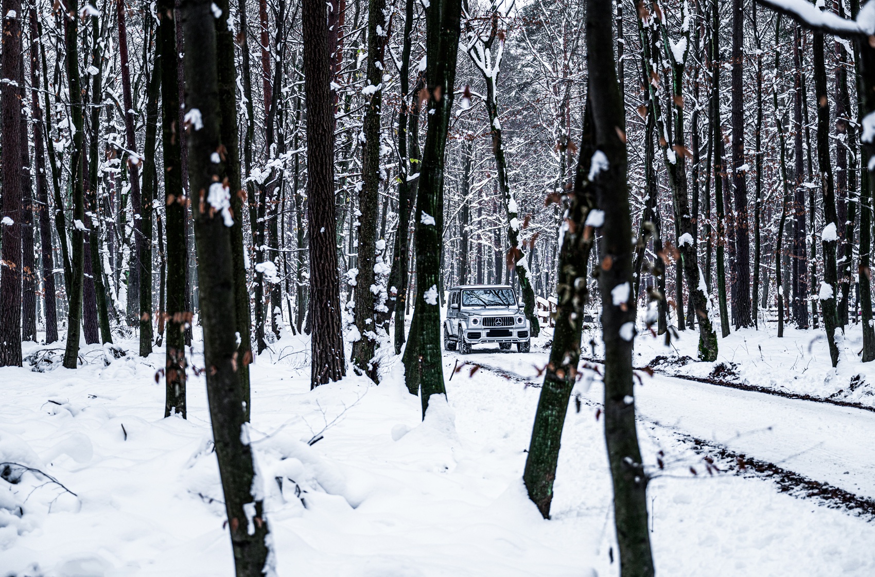 Mercedes-Benz G Class / G63