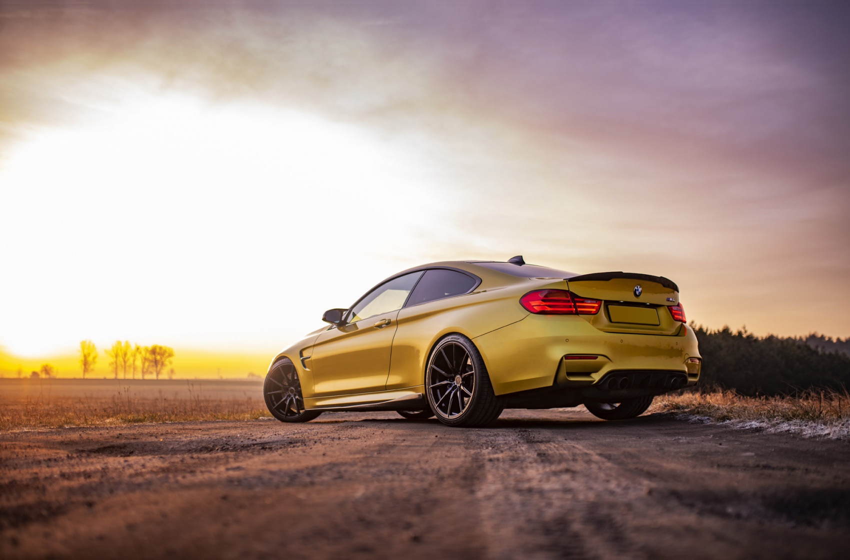 BMW 4 Series / M4