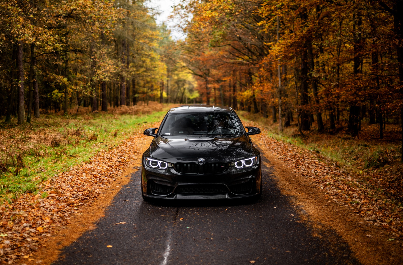 BMW 3 series / M3