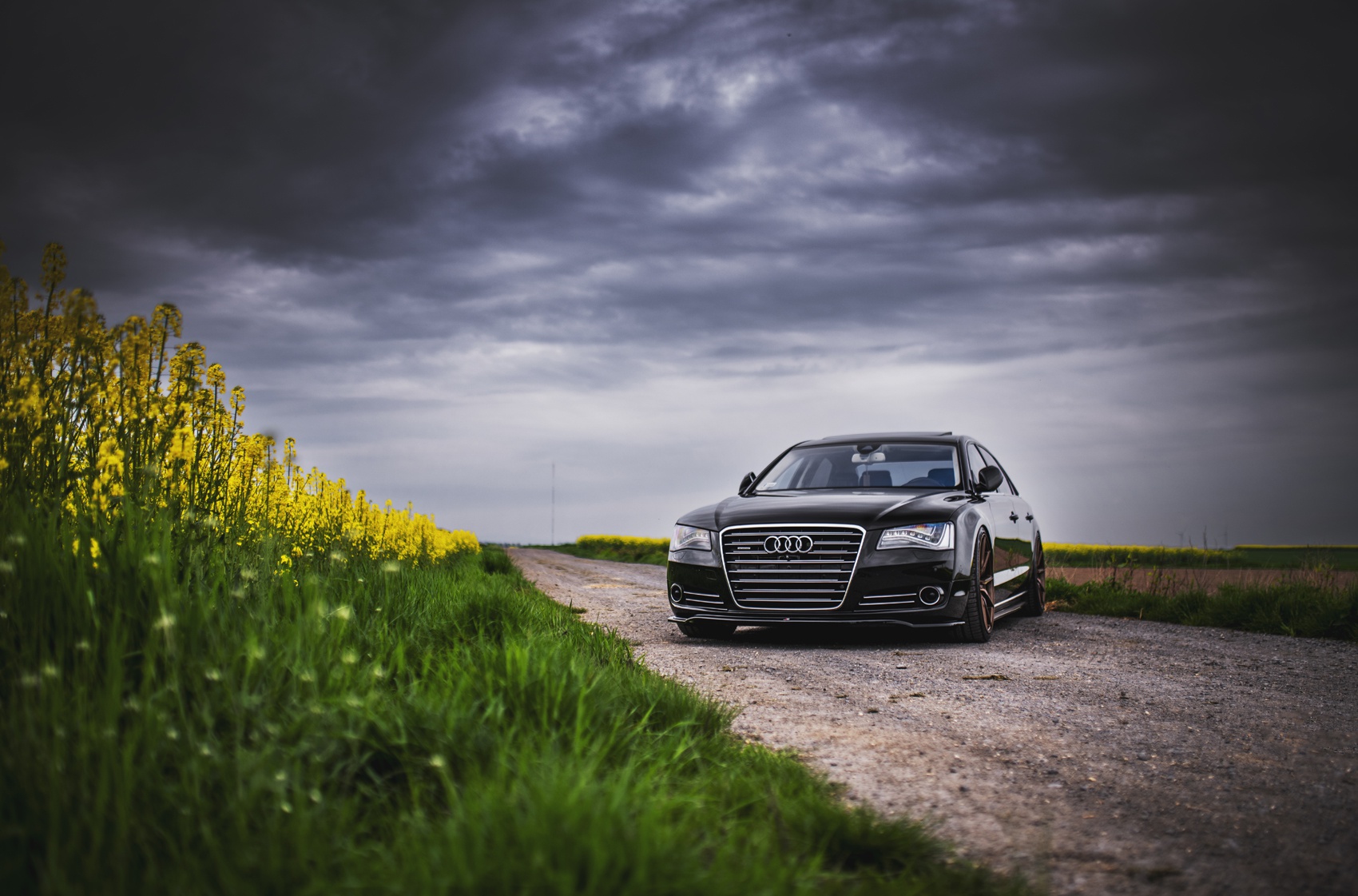 Audi A8 / S8