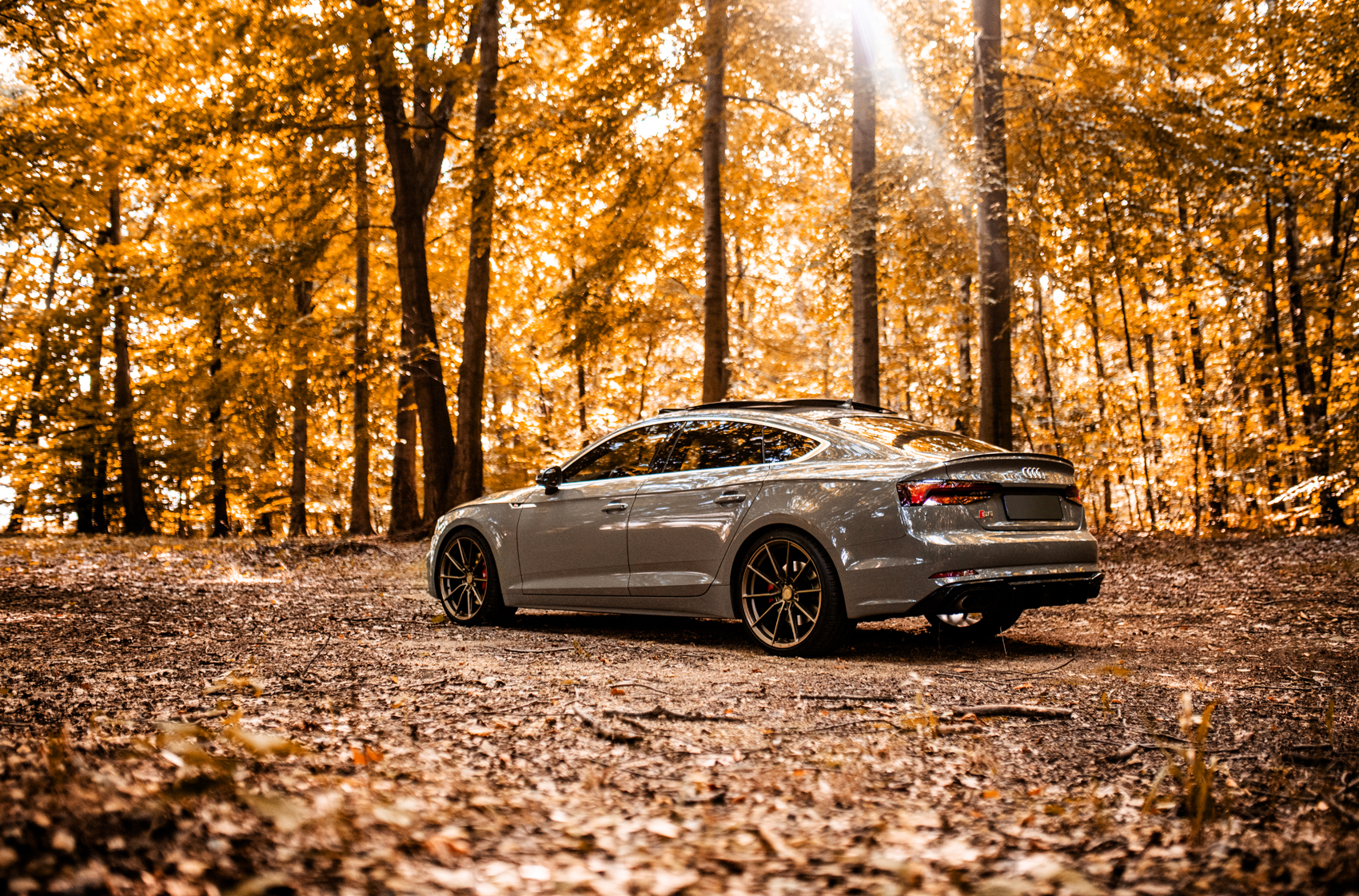 Audi S5