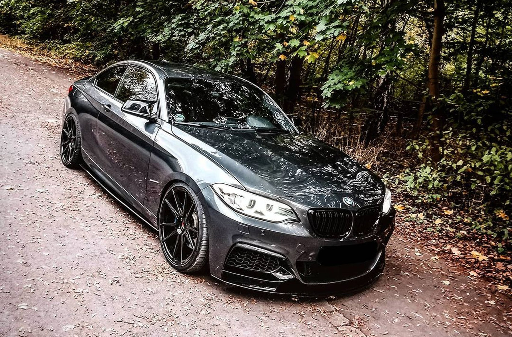 BMW 2 Series / M2