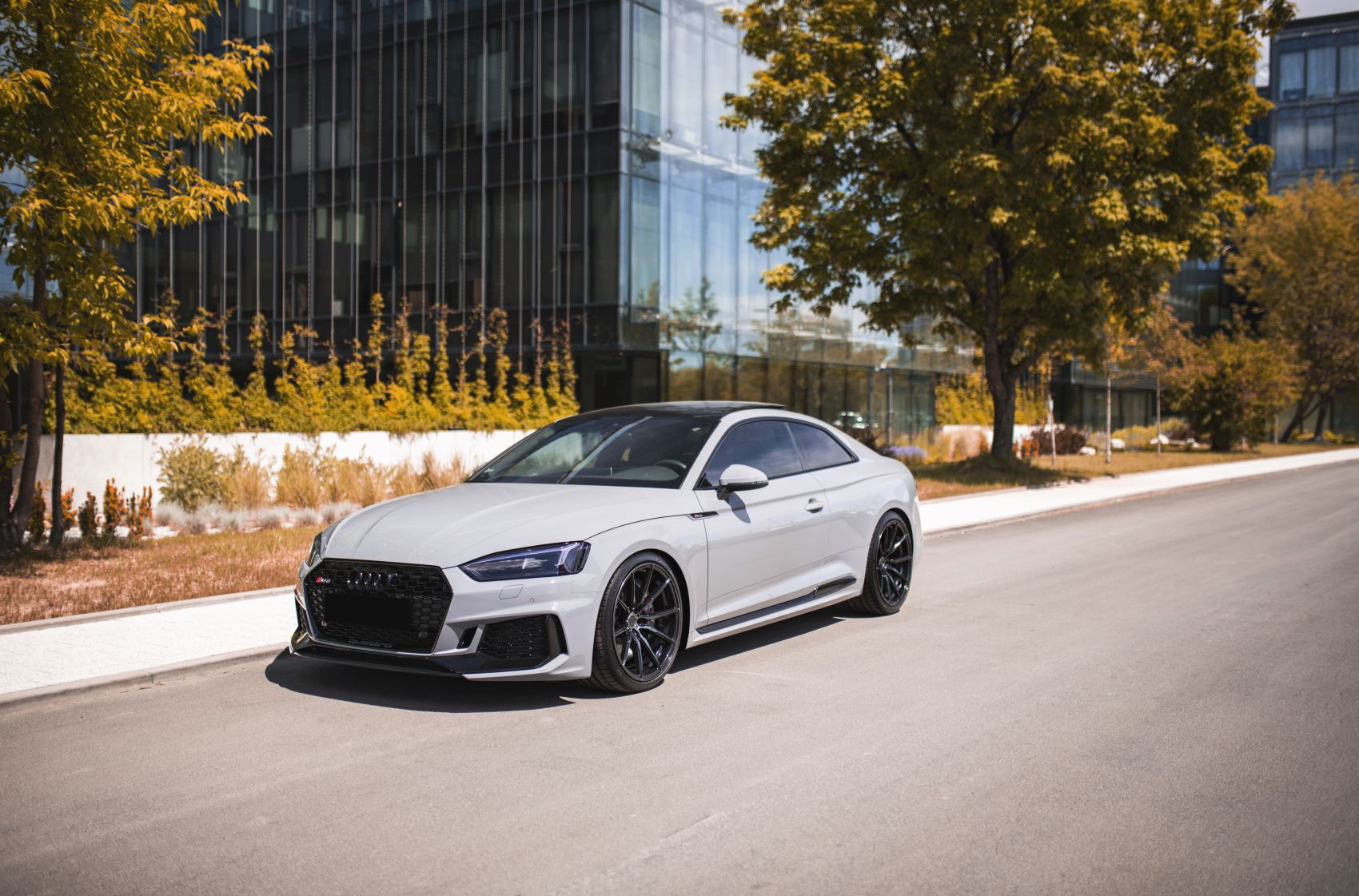 Audi A5 / S5 / RS5