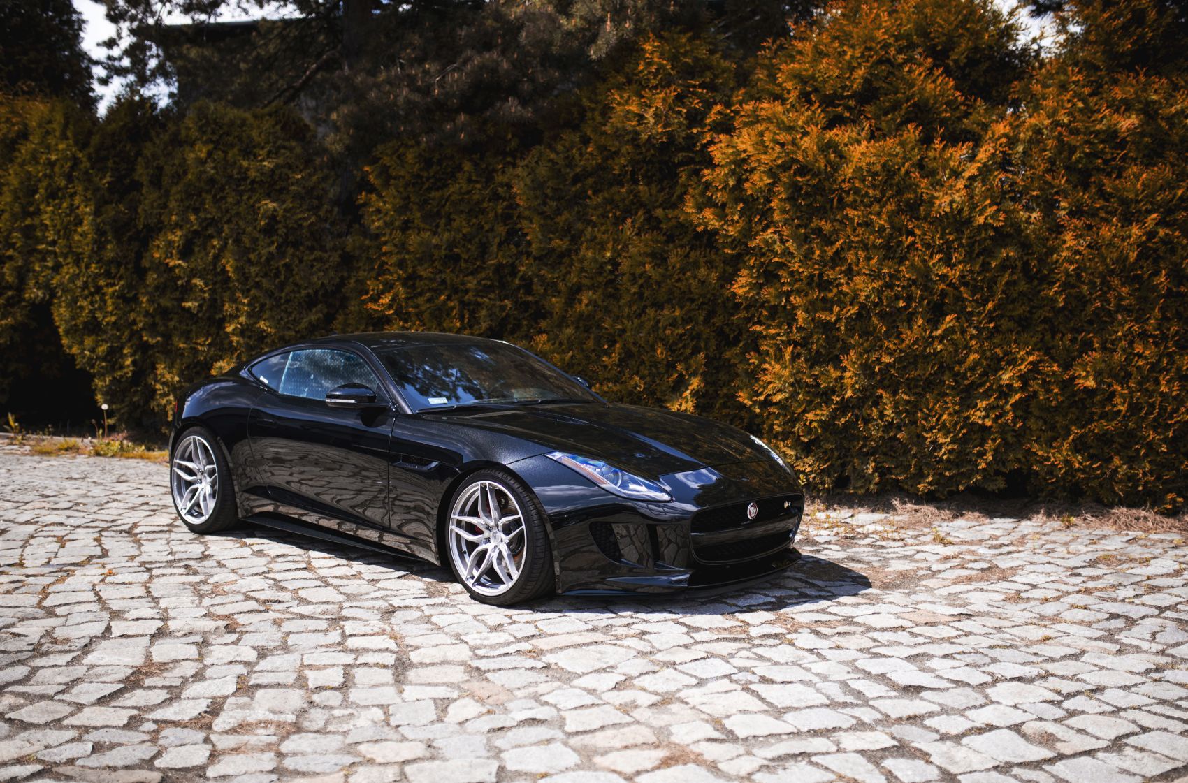 concaver-cvr3-229-01