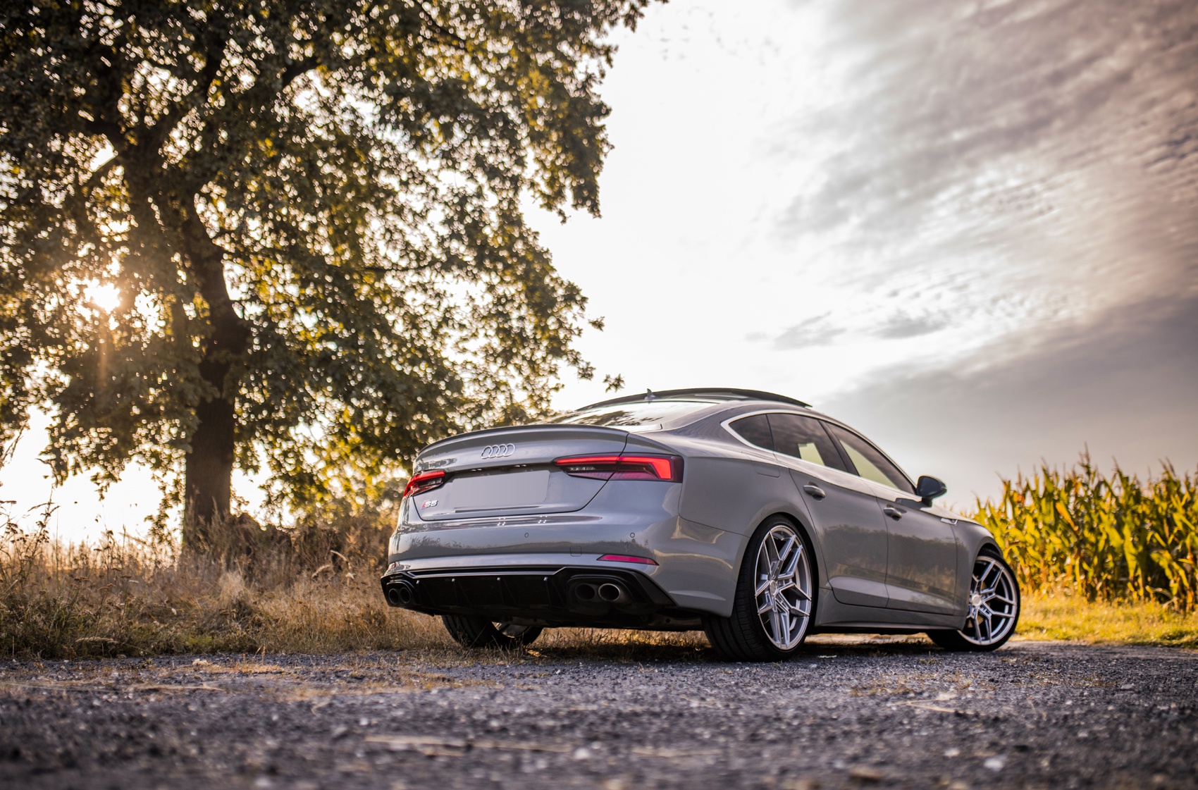 Audi A5 / S5 / RS5