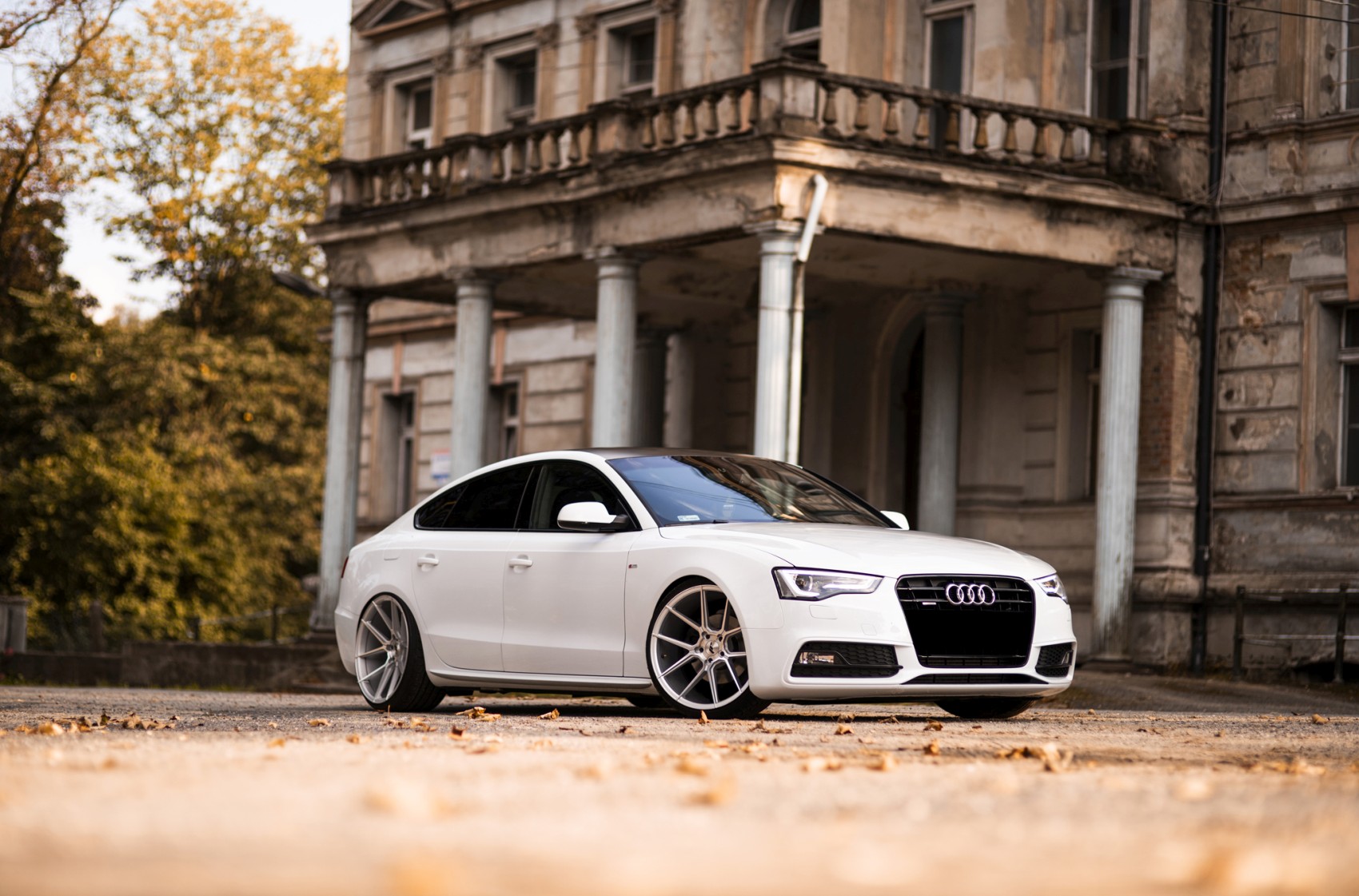 Audi A5 / S5 / RS5
