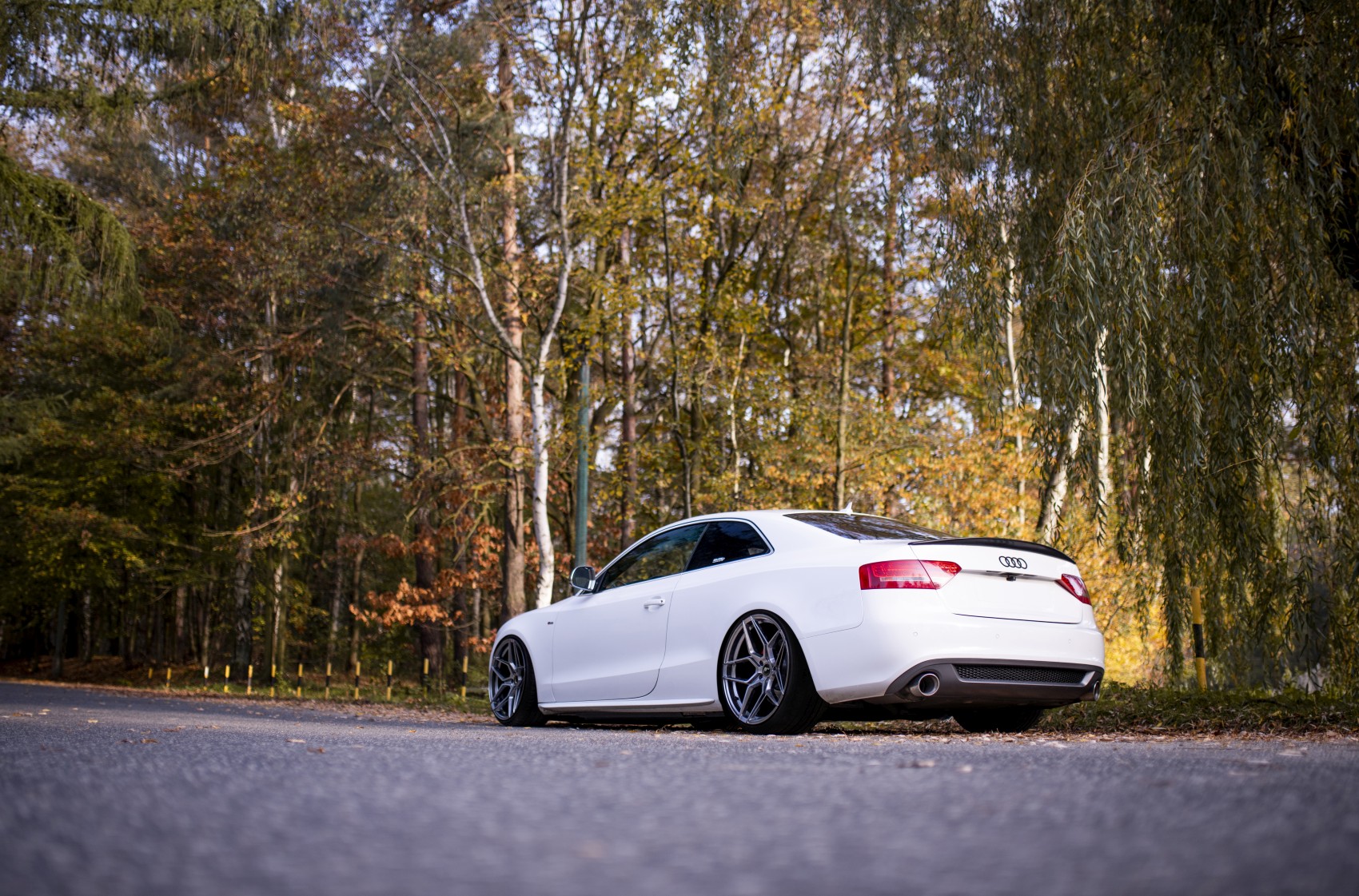 Audi A5 / S5 / RS5