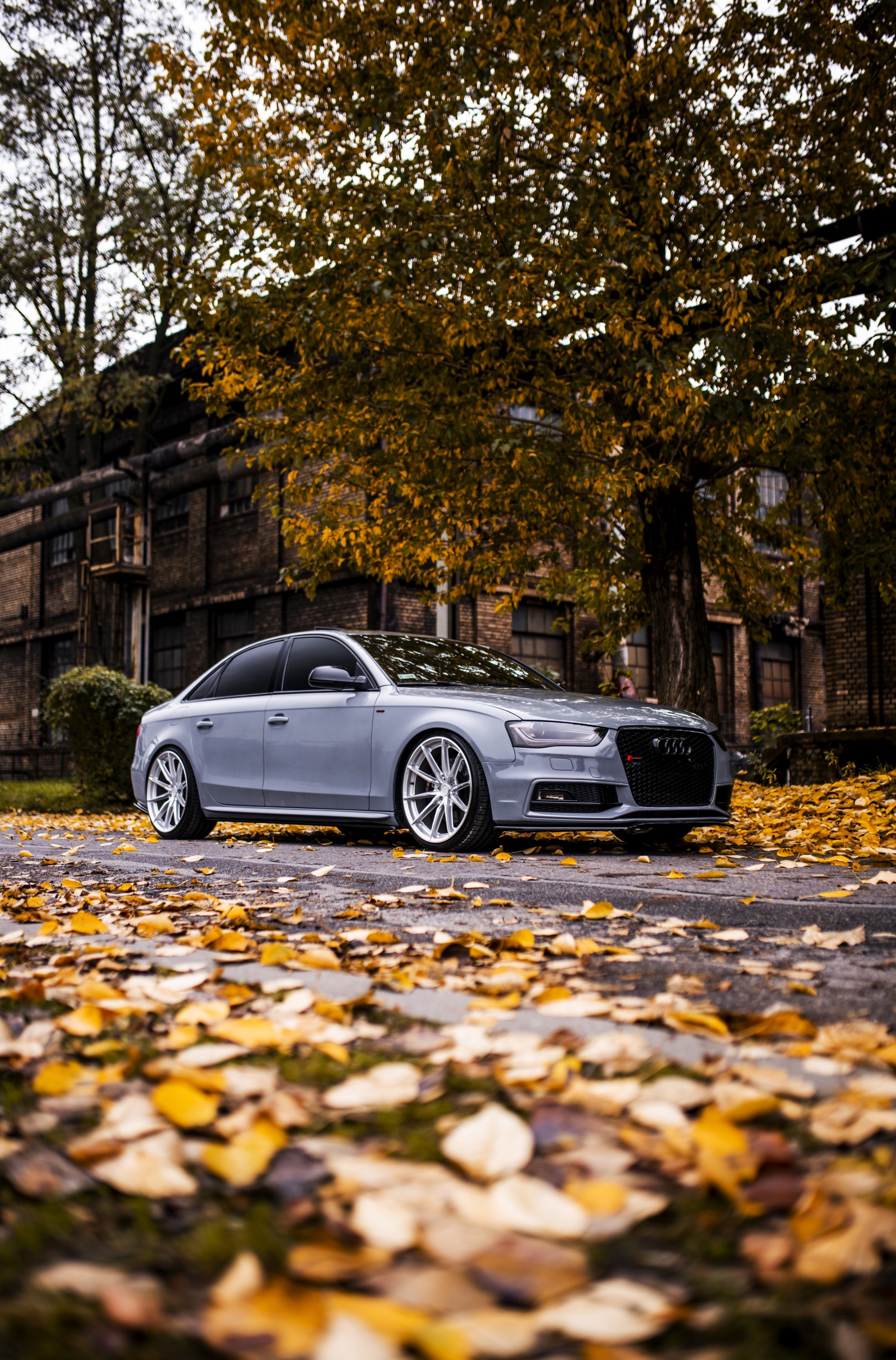 Audi A4 / S4 / RS4