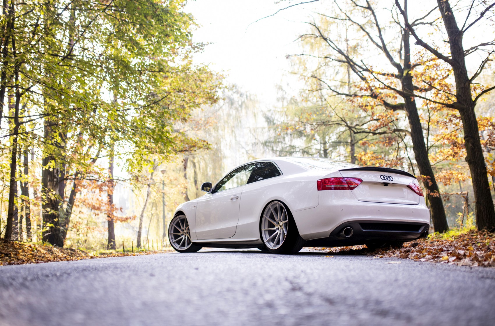 Audi A5 / S5 / RS5
