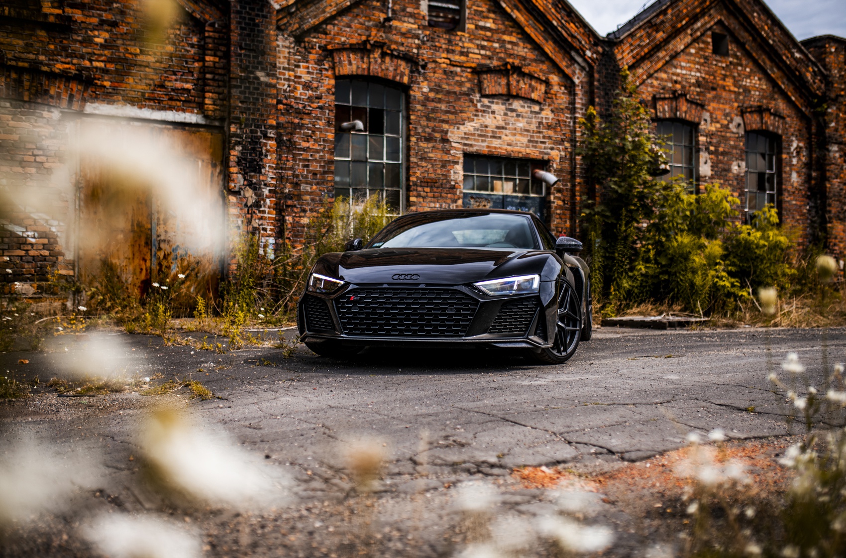 Audi R8