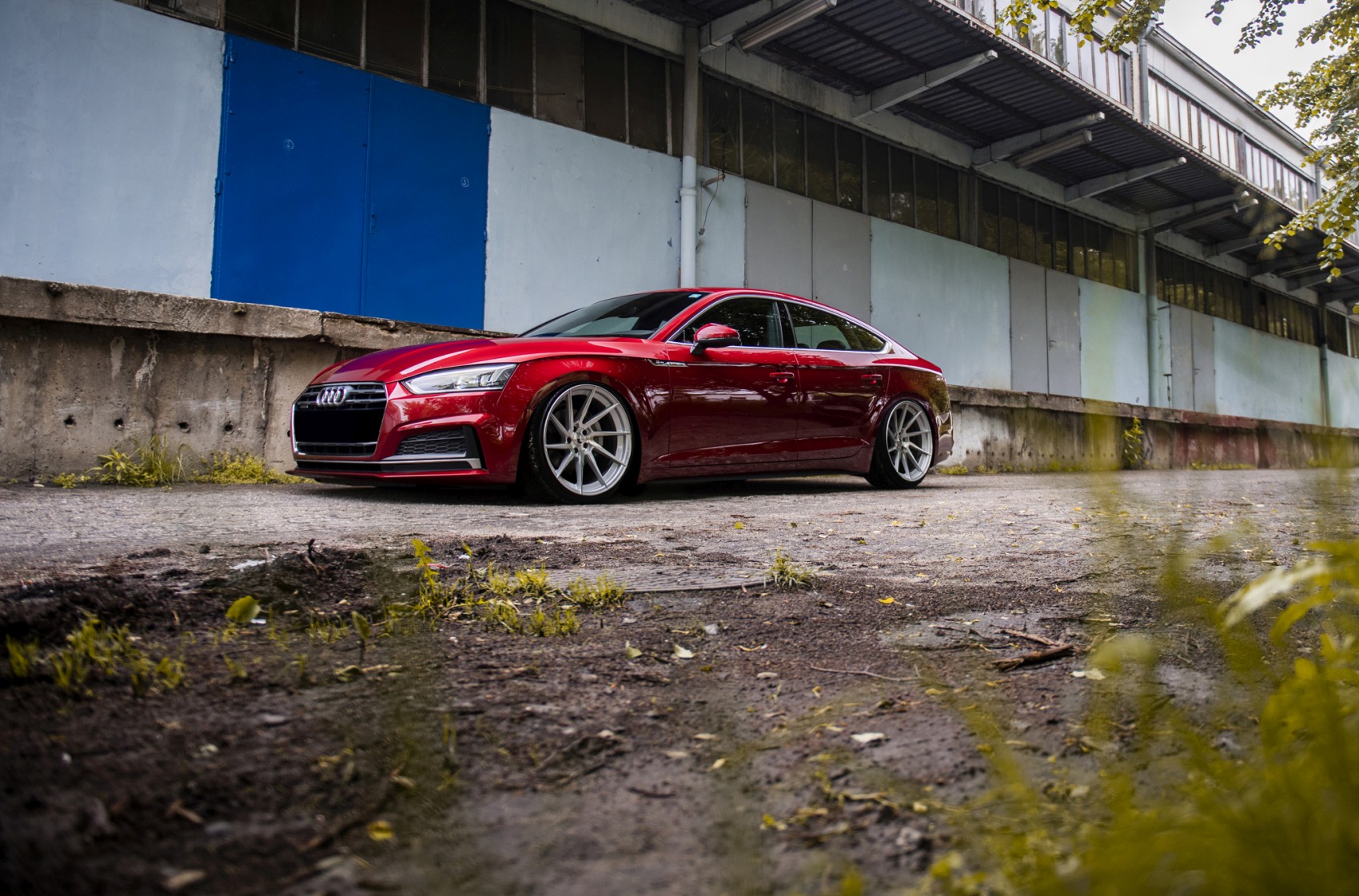 Audi A5 / S5 / RS5
