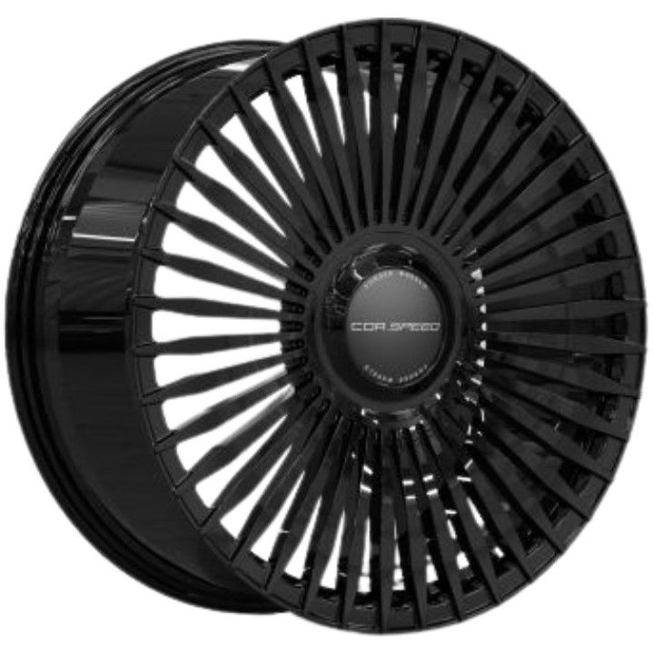CorspeedF02new