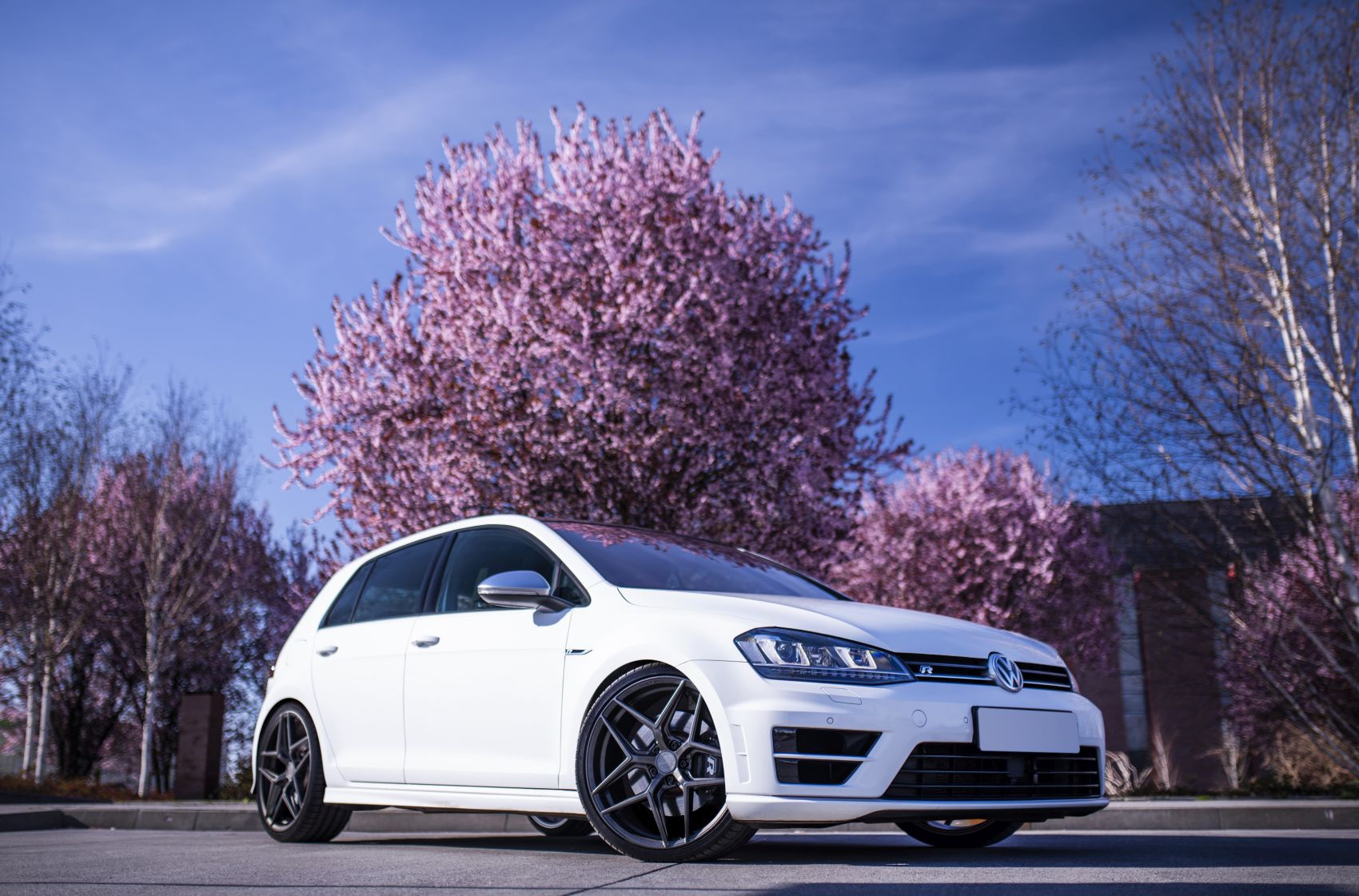 Volkswagen Golf / R / GTI