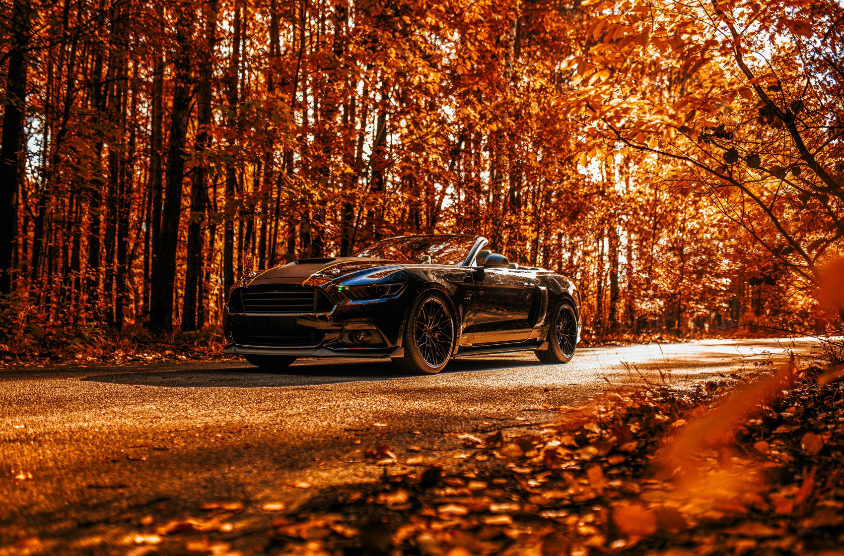 concaver-cvr6-1276-01