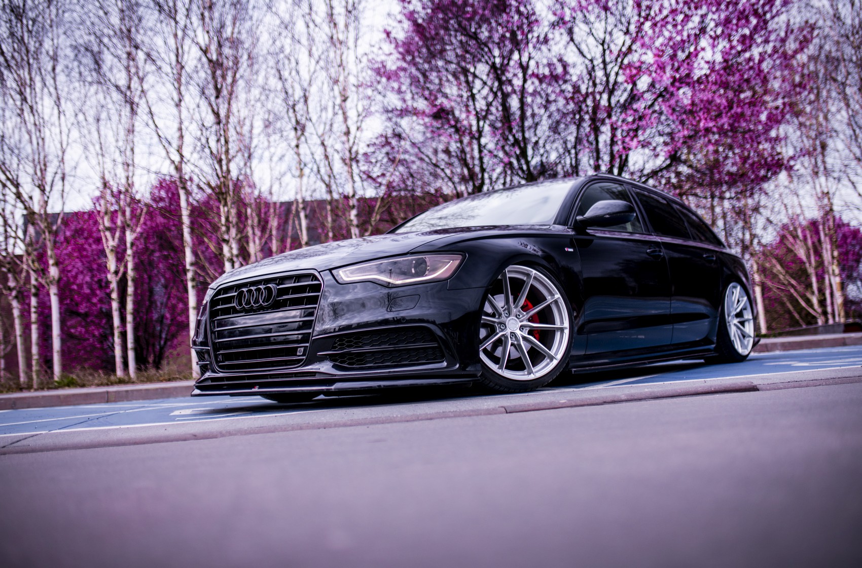 Audi A6 / S6 / RS6