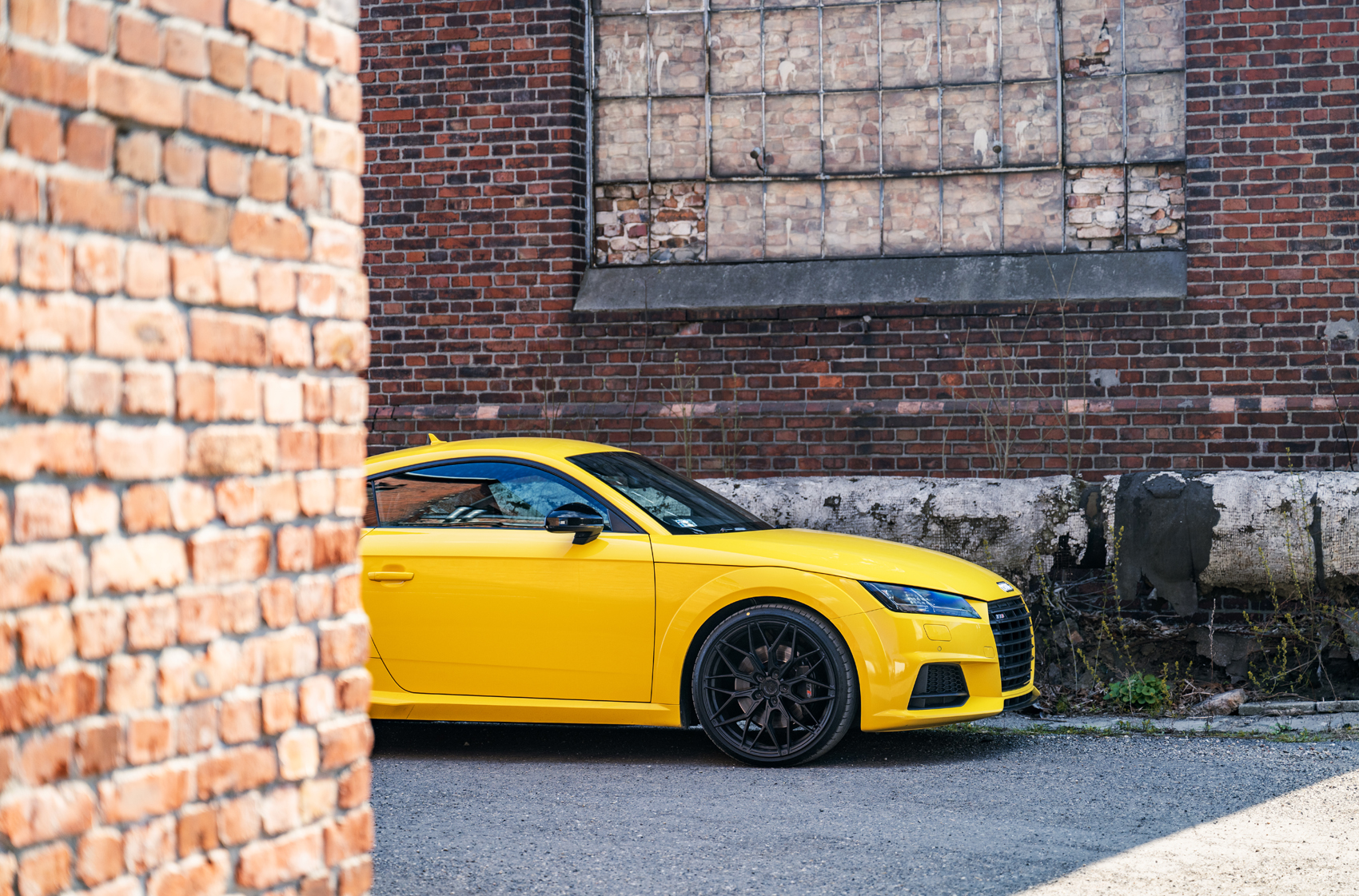 Audi TTs