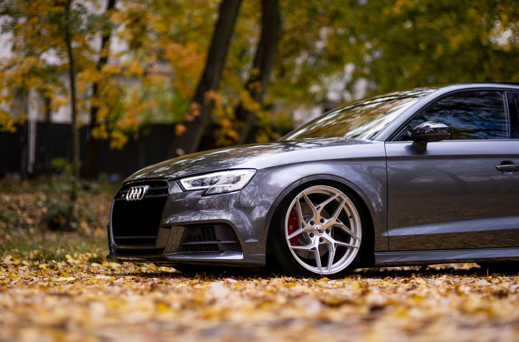 Audi A3 / S3 / RS3