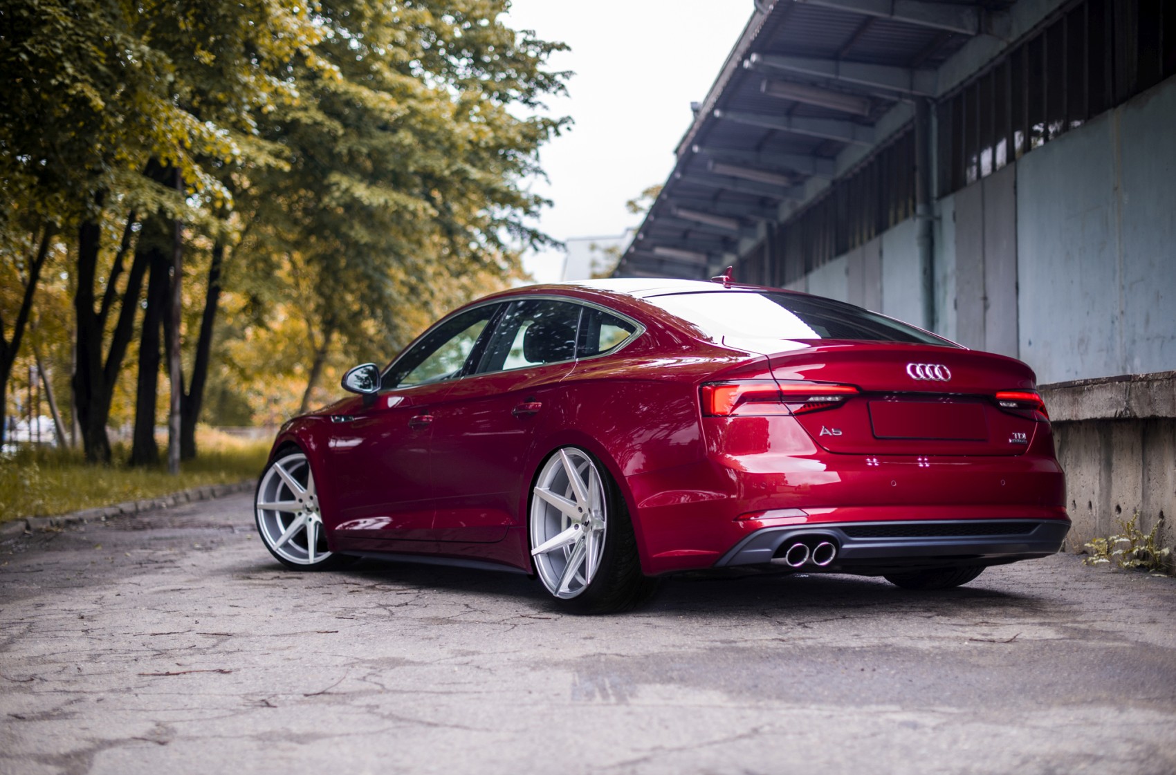 Audi A5 / S5 / RS5